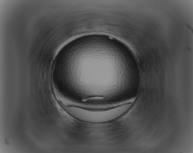 X0000093151534200710171340