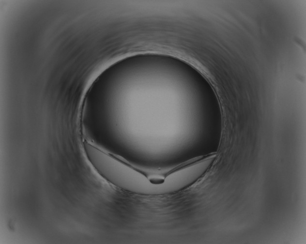 X0000093151536200710171340