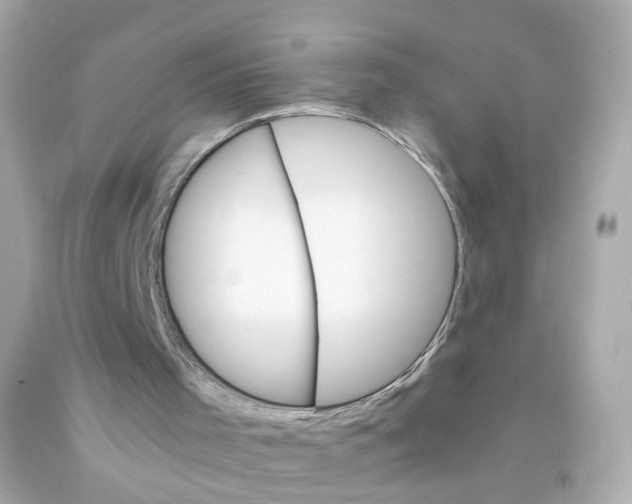 X0000093150001200710241412