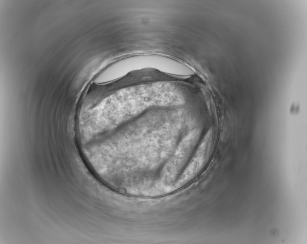 X0000093150002200710241412