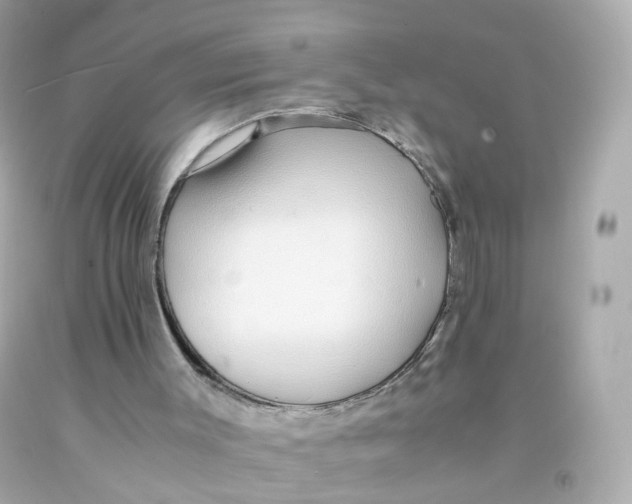 X0000093150003200710241412