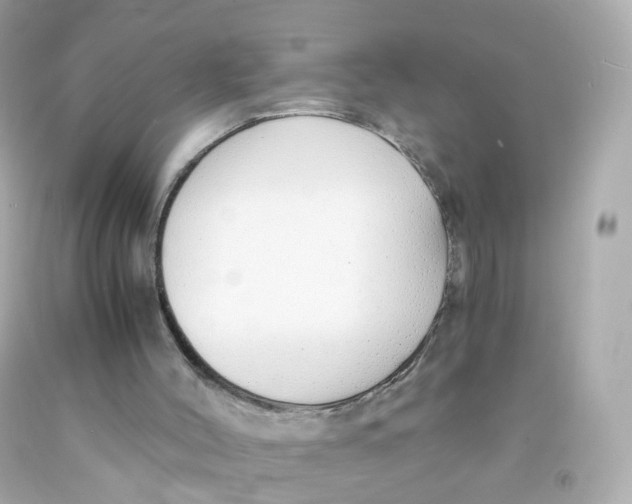 X0000093150004200710241412