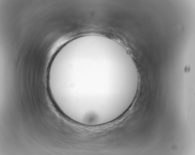 X0000093150006200710241412