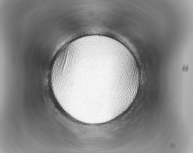 X0000093150010200710241412