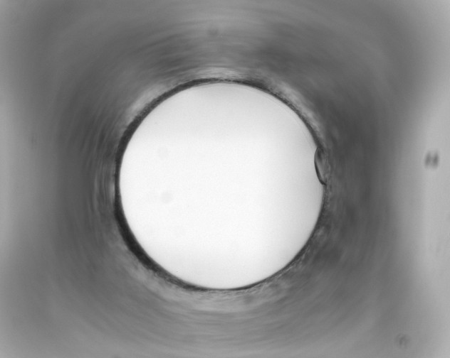 X0000093150011200710241412