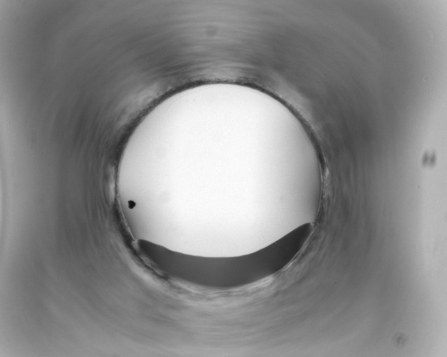 X0000093150013200710241412