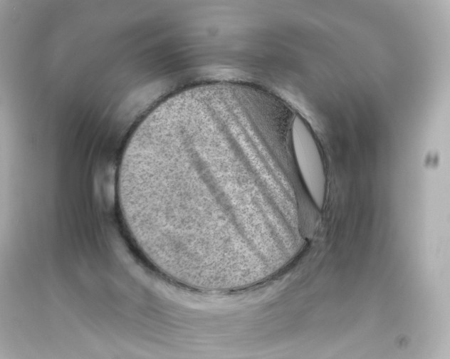 X0000093150014200710241412