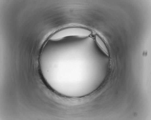 X0000093150015200710241412