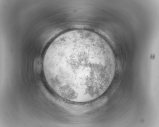 X0000093150016200710241412