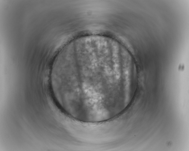 X0000093150018200710241412