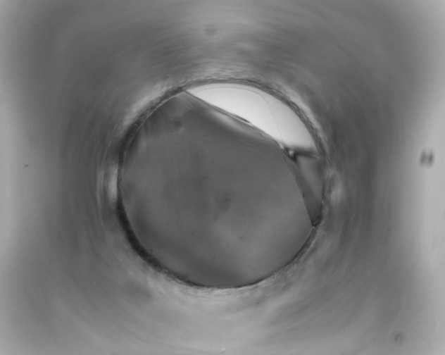 X0000093150019200710241412