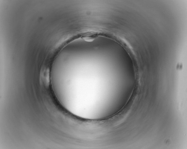 X0000093150020200710241412