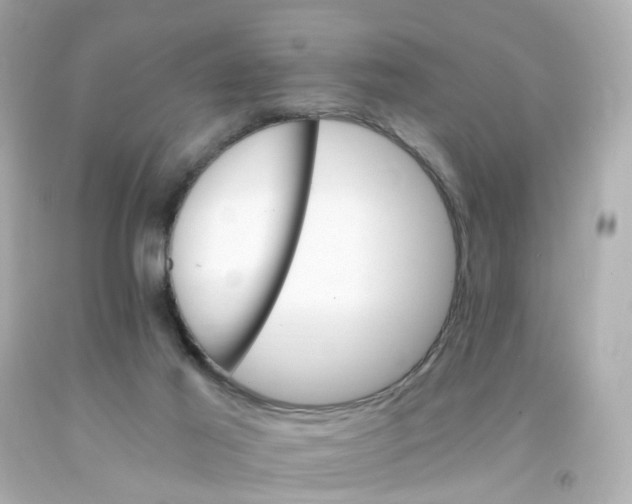 X0000093150021200710241412