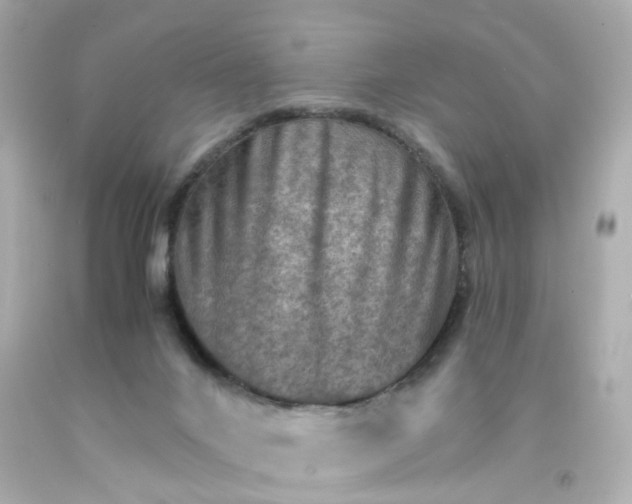 X0000093150024200710241412