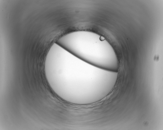 X0000093150025200710241412