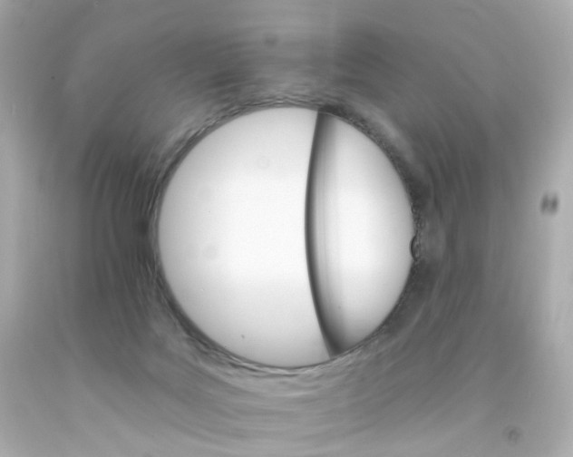 X0000093150027200710241412