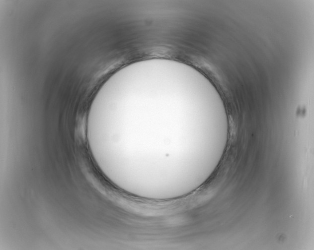 X0000093150028200710241412