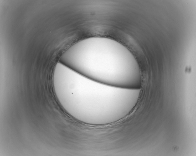 X0000093150029200710241412