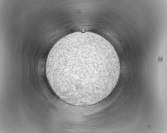 X0000093150030200710241412