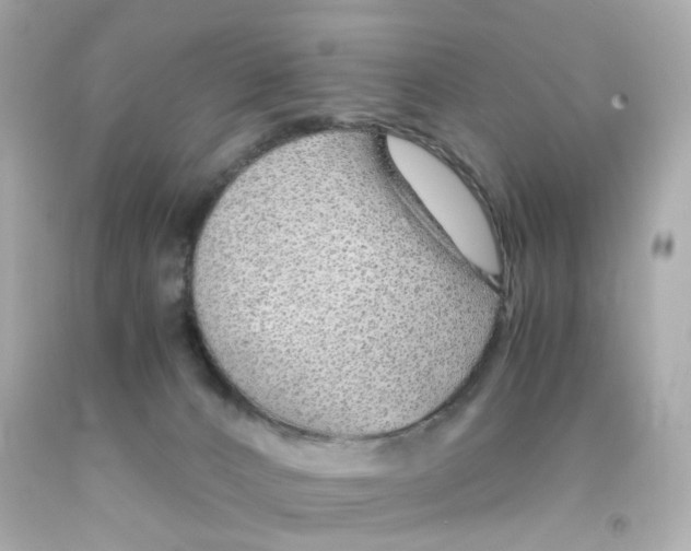 X0000093150032200710241412