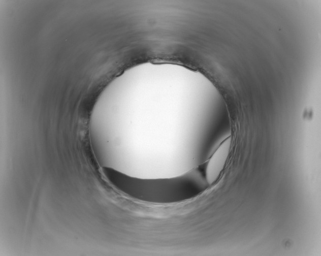 X0000093150033200710241411