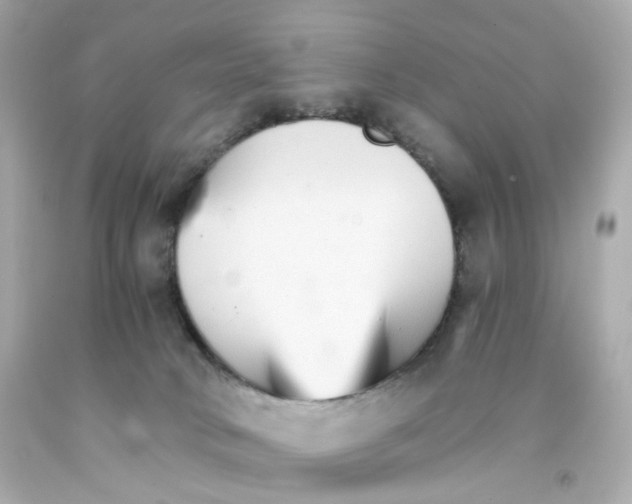 X0000093150034200710241411