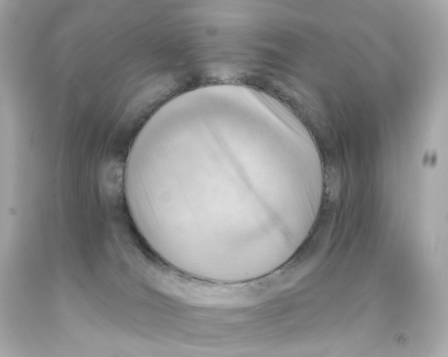 X0000093150036200710241411