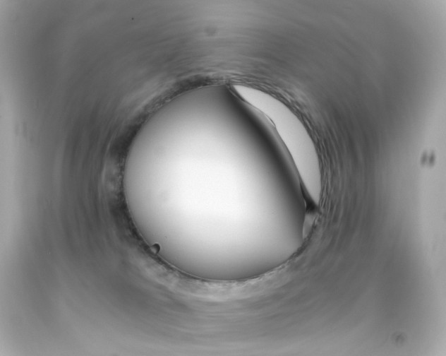 X0000093150037200710241411