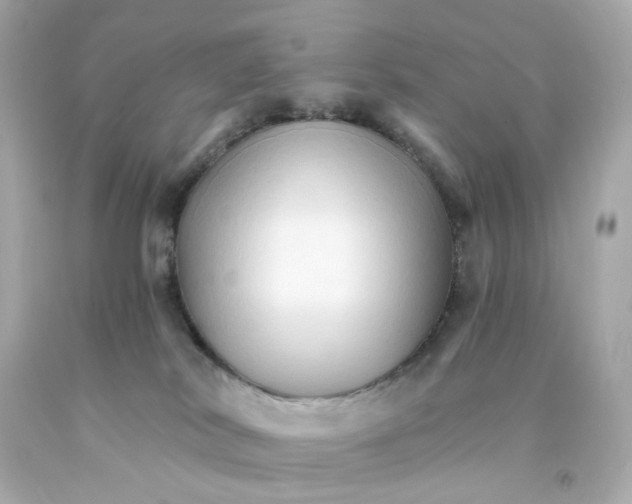 X0000093150038200710241411