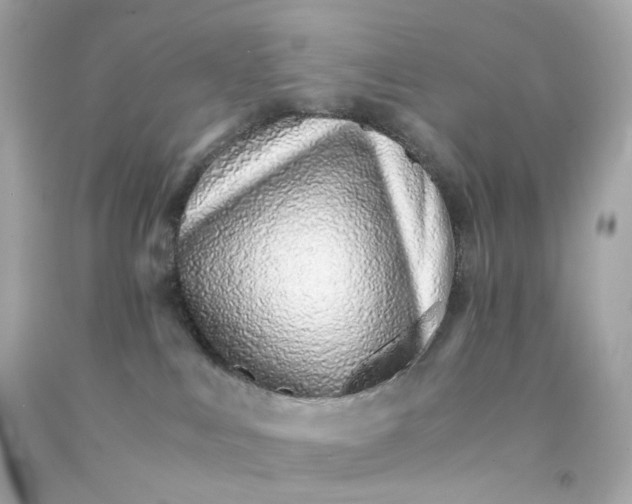 X0000093150043200710241411