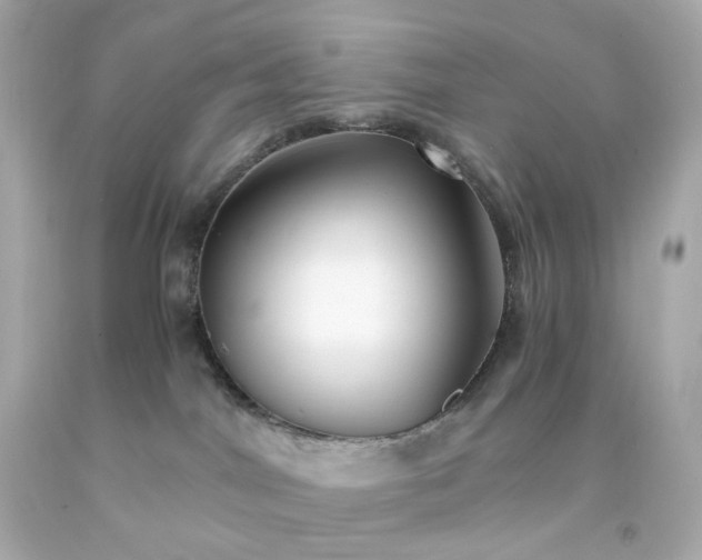 X0000093150044200710241411