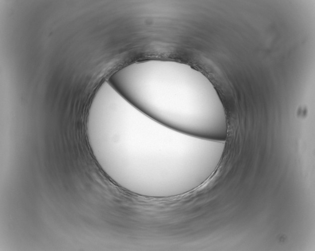 X0000093150045200710241411