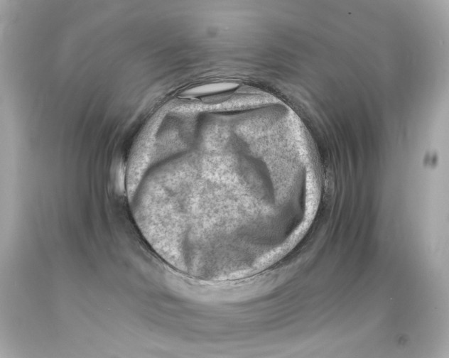 X0000093150046200710241411