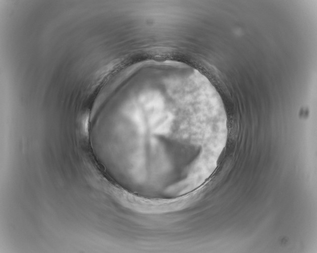 X0000093150047200710241411