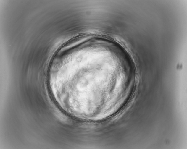 X0000093150049200710241411