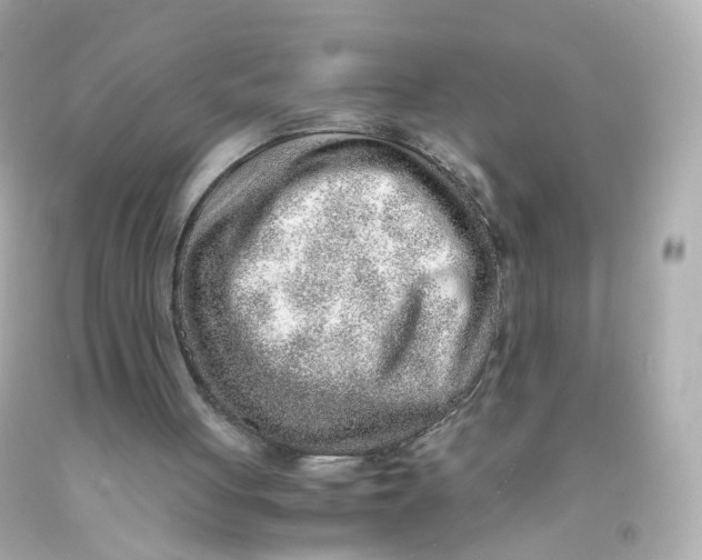 X0000093150051200710241411