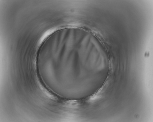 X0000093150054200710241411