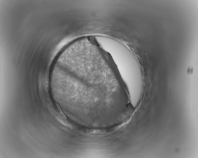 X0000093150056200710241411