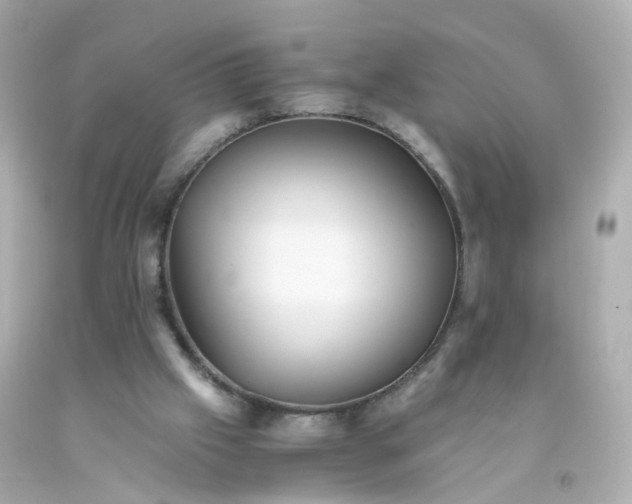 X0000093150057200710241411