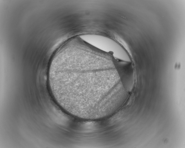 X0000093150059200710241411