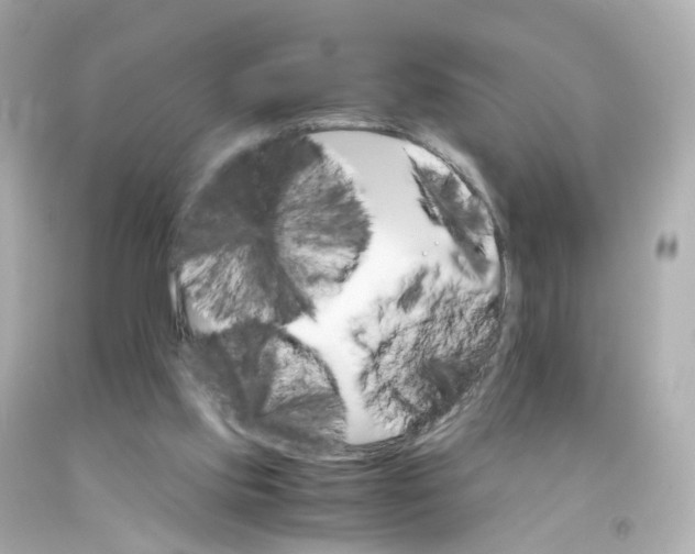 X0000093150061200710241411