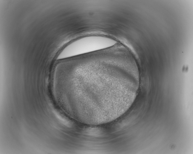 X0000093150063200710241411