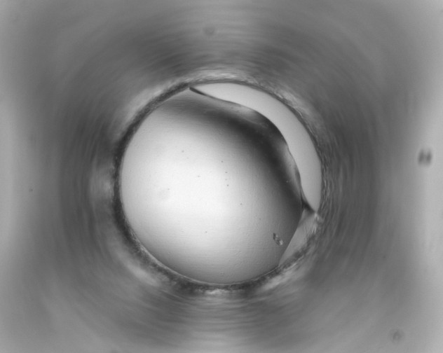 X0000093150064200710241411