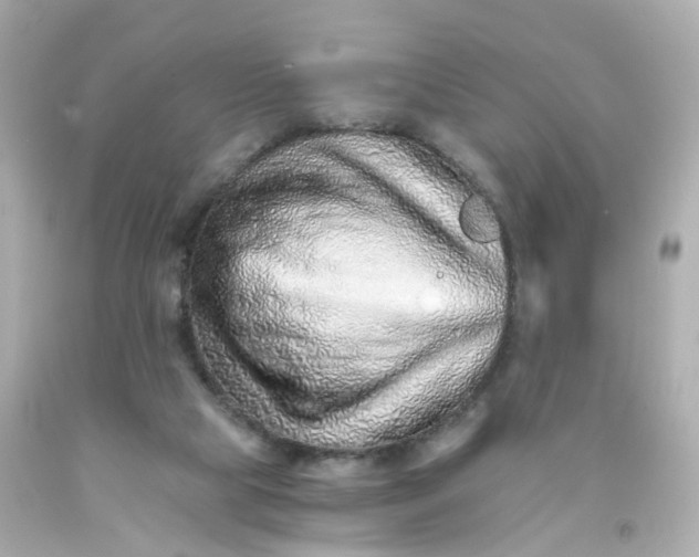 X0000093150065200710241411