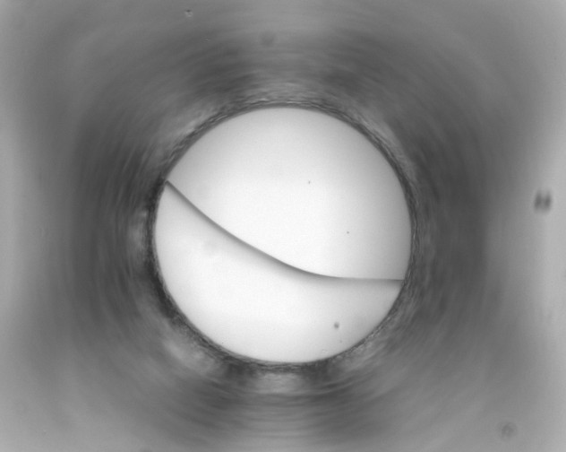 X0000093150066200710241411