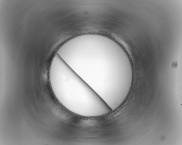 X0000093150067200710241411