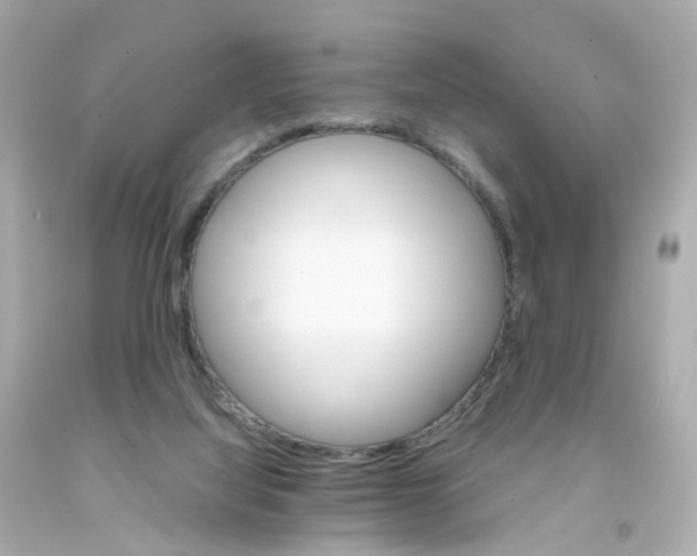 X0000093150068200710241411