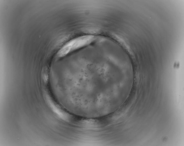 X0000093150069200710241411