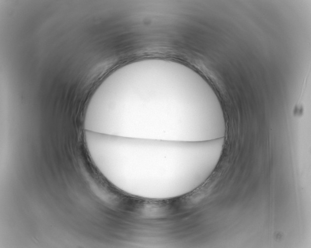 X0000093150070200710241411