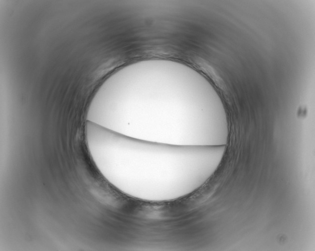 X0000093150071200710241411